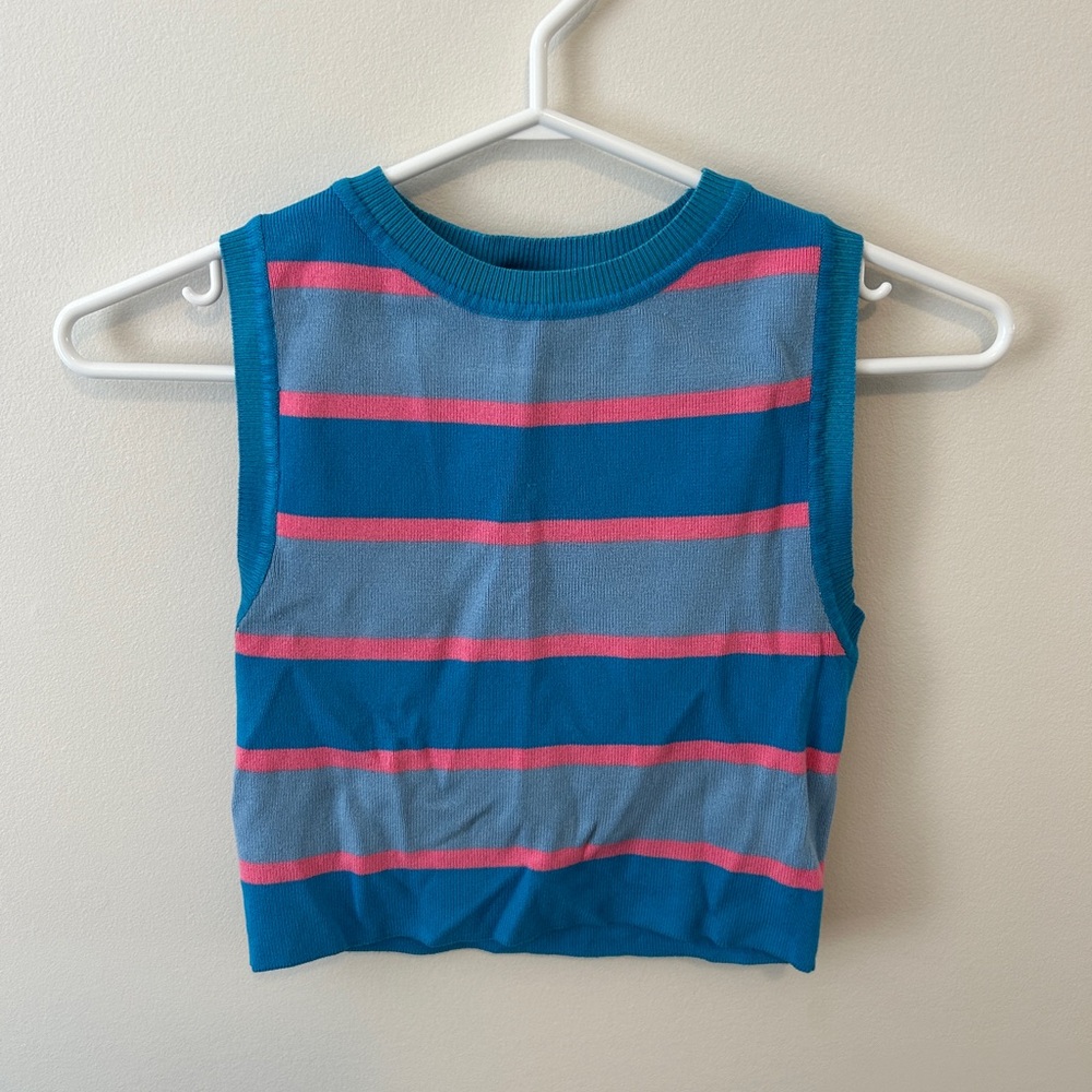 Zara Blue and Pink Striped Cropped Tank Top